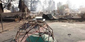 helping-kids-cope-with-loss-of-toys-and-stuffed-animals-due-to-la-fires