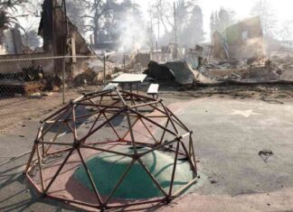 Helping Kids Cope with Loss of Toys and Stuffed Animals Due to L.A. Fires helping-kids-cope-with-loss-of-toys-and-stuffed-animals-due-to-la-fires