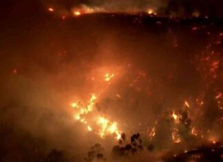 Hollywood Hills Sunset Fire: Evacuations and Shelter Information hollywood-hills-sunset-fire-evacuations-and-shelter-nformation