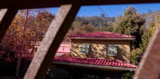 how-to-safely-remove-wildfire-smoke-odors-from-your-home