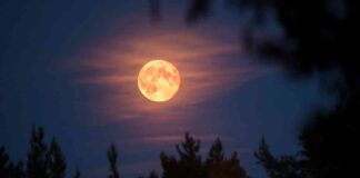 januarys-wolf-moon-next-full-moon-date-significance-and-viewing-tips