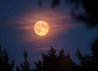 January’s ‘Wolf Moon’: Next Full Moon Date, Significance, and Viewing Tips januarys-wolf-moon-next-full-moon-date-significance-and-viewing-tips