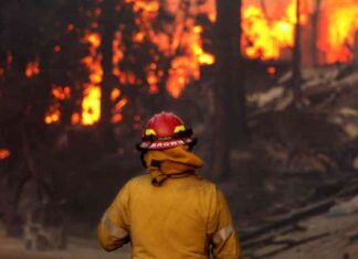 LA County Wildfires Death Toll Rises: Live Updates and Discovery of Human Remains in Malibu la-county-wildfires-death-toll-rises-live-updates-and-discovery-of-human-remains-in-malibu