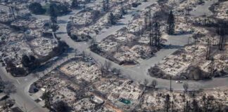 lessons-from-santa-rosas-rebuilding-how-la-can-recover-from-devastating-fires
