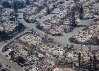 Lessons from Santa Rosa’s Rebuilding: How L.A. Can Recover from Devastating Fires lessons-from-santa-rosas-rebuilding-how-la-can-recover-from-devastating-fires