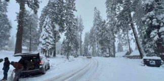 llinois-winter-storm-timeline-for-significant-snowstorm-mpact