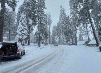 Illinois Winter Storm: Timeline for ‘Significant’ Snowstorm Impact llinois-winter-storm-timeline-for-significant-snowstorm-mpact