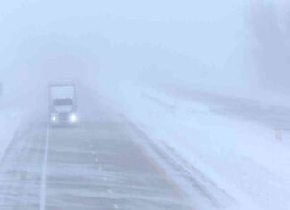 Illinois Winter Storm: Warnings Issued for ‘Disruptive’ Snowstorm llinois-winter-storm-warnings-ssued-for-disruptive-snowstorm