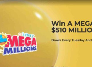 Man Worried About Election Winner Wins Lottery: A Lucky Turn of Events man-worried-about-election-winner-wins-lottery-a-lucky-turn-of-events