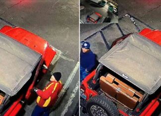 Men Stealing Fire Equipment from U.S. Forest Service in Southern California men-stealing-fire-equipment-from-us-forest-service-in-southern-california