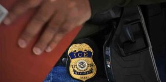 mmigration-sweep-hoax-circulates-during-los-angeles-wildfires