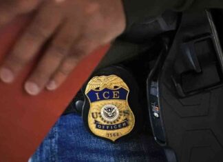 Immigration Sweep Hoax Circulates During Los Angeles Wildfires mmigration-sweep-hoax-circulates-during-los-angeles-wildfires