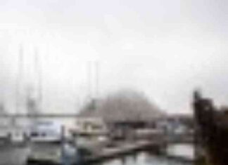 Impact of Trump’s Order on California’s Offshore Wind Industry mpact-of-trumps-order-on-californias-offshore-wind-ndustry