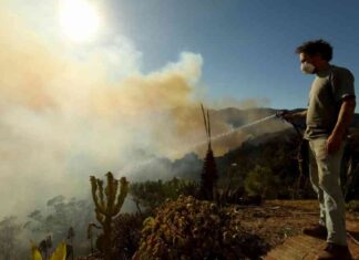 Navigating Through L.A.’s Fire Disaster: Understanding the Impact navigating-through-las-fire-disaster-understanding-the-mpact