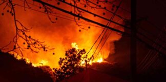 nvestigating-the-cause-of-los-angeles-fires-power-lines-arson-or-old-embers