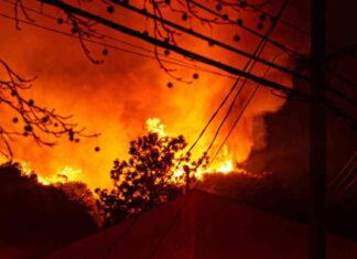 Investigating the Cause of Los Angeles Fires: Power Lines, Arson, or Old Embers? nvestigating-the-cause-of-los-angeles-fires-power-lines-arson-or-old-embers