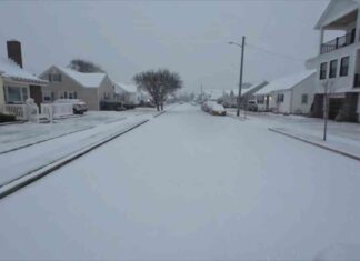 Parts of Illinois under shelter-in-place due to severe snowstorm: What you need to know parts-of-llinois-under-shelter-in-place-due-to-severe-snowstorm-what-you-need-to-know