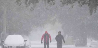 rare-snowstorm-hits-houston-new-orleans-and-florida-prepare-for-plows
