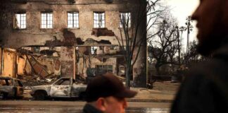 rebuilding-altadena-artists-devastated-by-fire-the-wild-west-ahead