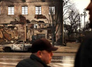Rebuilding Altadena Artists Devastated by Fire: The Wild West Ahead rebuilding-altadena-artists-devastated-by-fire-the-wild-west-ahead