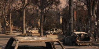 rebuilding-altadena-reviving-a-feral-community-after-devastating-fire