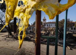 Rebuilding Classroom: Palisades Fire Victims’ Teacher’s Mission rebuilding-classroom-palisades-fire-victims-teachers-mission