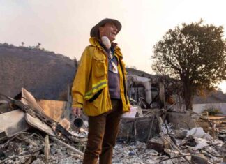 Rebuilding Life After Palisades Fire: Confronting My Malibu Reality rebuilding-life-after-palisades-fire-confronting-my-malibu-reality