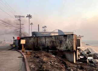 Restaurants Destroyed by Fires in Malibu and Altadena: Impact on L.A. County restaurants-destroyed-by-fires-in-malibu-and-altadena-mpact-on-la-county