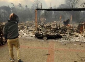 Safety Precautions for Debris Removal at Fire-Damaged Sites safety-precautions-for-debris-removal-at-fire-damaged-sites