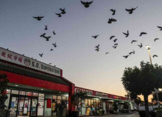 San Gabriel Valley: Embracing the Legacy of Non-Assimilation san-gabriel-valley-embracing-the-legacy-of-non-assimilation