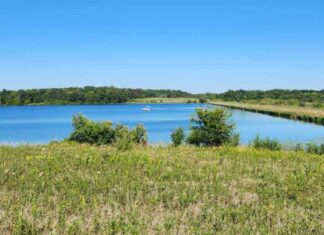Shabbona Lake State Park Transfer to Prairie Band Potawatomi Nation – What to Expect shabbona-lake-state-park-transfer-to-prairie-band-potawatomi-nation-what-to-expect