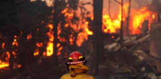 should-polymarket-allow-betting-on-natural-disasters-an-analysis-of-the-la-firestorm-situation