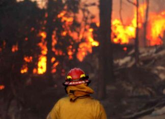 Should Polymarket Allow Betting on Natural Disasters? An Analysis of the L.A. Firestorm Situation should-polymarket-allow-betting-on-natural-disasters-an-analysis-of-the-la-firestorm-situation