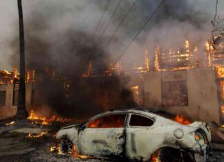 Small Business Administration Provides Lifeline for Uninsured Fire Victims small-business-administration-provides-lifeline-for-uninsured-fire-victims