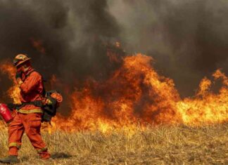 Supporting Incarcerated Firefighters: Ways to Help Them Fight L.A. Wildfires supporting-ncarcerated-firefighters-ways-to-help-them-fight-la-wildfires