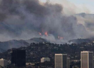 Surviving the Worst Disaster: Hired Hands Working to Pay Bills surviving-the-worst-disaster-hired-hands-working-to-pay-bills