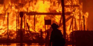 survivors-stories-mpact-of-california-fires