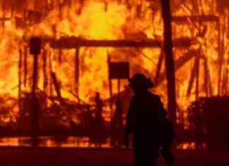 Survivors’ Stories: Impact of California Fires survivors-stories-mpact-of-california-fires