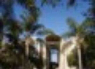 The High Cost of Private Universities: Why Low-Income Students Still Choose Them the-high-cost-of-private-universities-why-low-ncome-students-still-choose-them