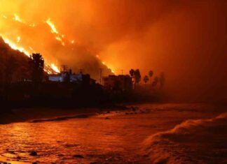 The Impact of L.A. Fires on Marine Ecosystems: Scientists Investigate the-mpact-of-la-fires-on-marine-ecosystems-scientists-nvestigate