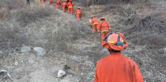 the-mpact-of-ncarcerated-firefighters-on-la-wildfires-a-closer-look