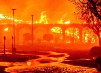 Top California Home Insurers in L.A. with Highest Claim Denial Rates top-california-home-nsurers-in-la-with-highest-claim-denial-rates