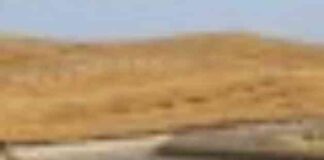 trump-orders-ncreased-water-deliveries-to-central-valley-to-combat-los-angeles-fires