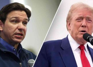 Trump praises DeSantis for Florida immigration policies trump-praises-desantis-for-florida-immigration-policies