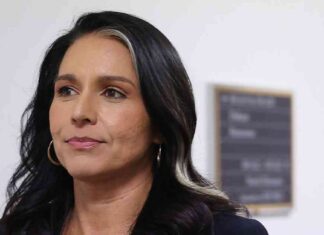 Tulsi Gabbard Shifts Stance on Intelligence Tool After Republican Influence tulsi-gabbard-shifts-stance-on-ntelligence-tool-after-republican-nfluence