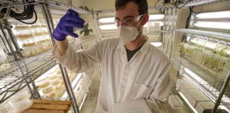 ucs-concerns-over-trumps-grant-review-pause