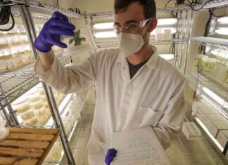 UC’s Concerns Over Trump’s Grant Review Pause ucs-concerns-over-trumps-grant-review-pause