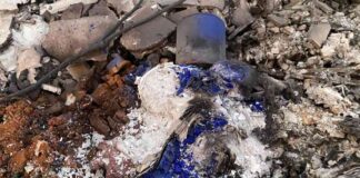 uncovering-the-jju-community-a-look-into-the-artists-utopia-in-altadena