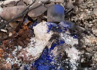 Uncovering the JJU Community: A Look into the Artists’ Utopia in Altadena uncovering-the-jju-community-a-look-into-the-artists-utopia-in-altadena