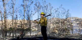 understanding-fire-containment-definition-and-mportance